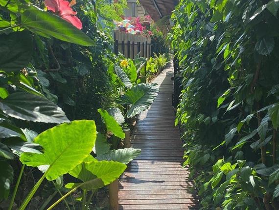 casa berna (12).jpeg