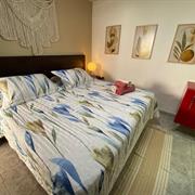 Standard DBL = Conceição Baia dos Porcos   Leão  Cacimba 