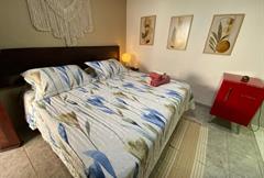 Standard DBL = Conceição Baia dos Porcos   Leão  Cacimba 