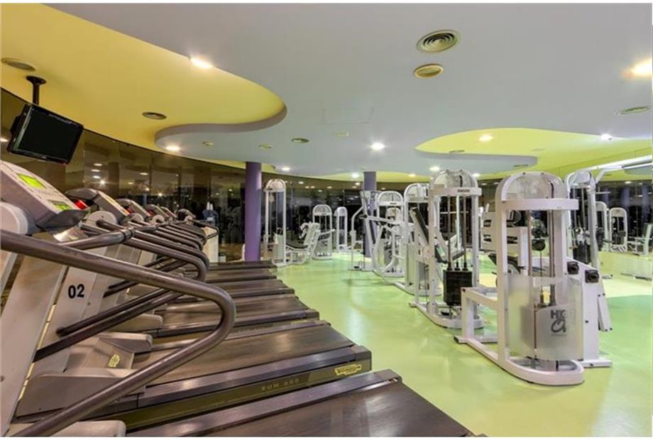 RoyalTulipAlvorada academia.jpg