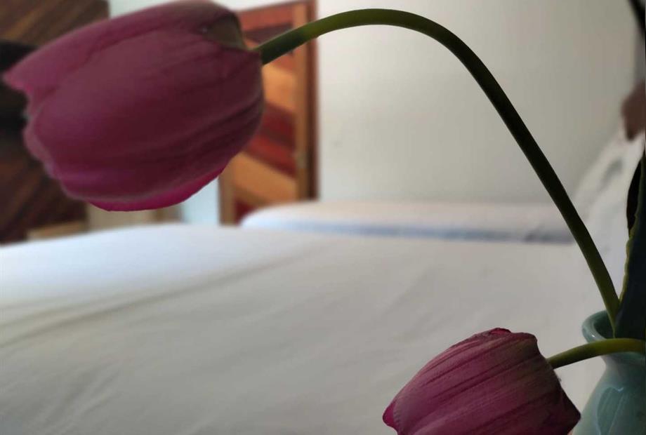 whatsapp image 2023-05-02 at 21.19.28 (2).jpeg