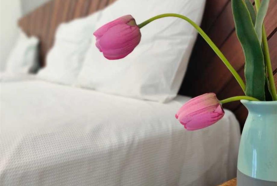 whatsapp image 2023-05-02 at 21.19.28 (1).jpeg