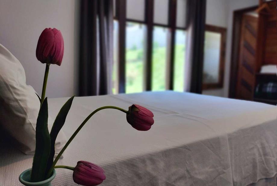 whatsapp image 2023-05-02 at 21.19.32 (1).jpeg