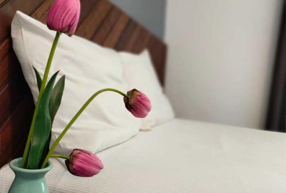 whatsapp image 2023-05-02 at 21.19.32 (2).jpeg