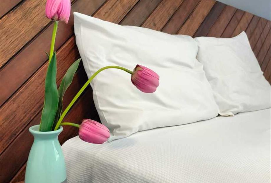 whatsapp image 2023-05-02 at 21.19.34 (1).jpeg