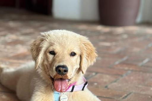 whatsapp image 2025-12-28 at 19.46.53.jpeg