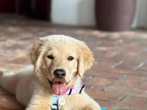 whatsapp image 2025-12-28 at 19.46.53.jpeg