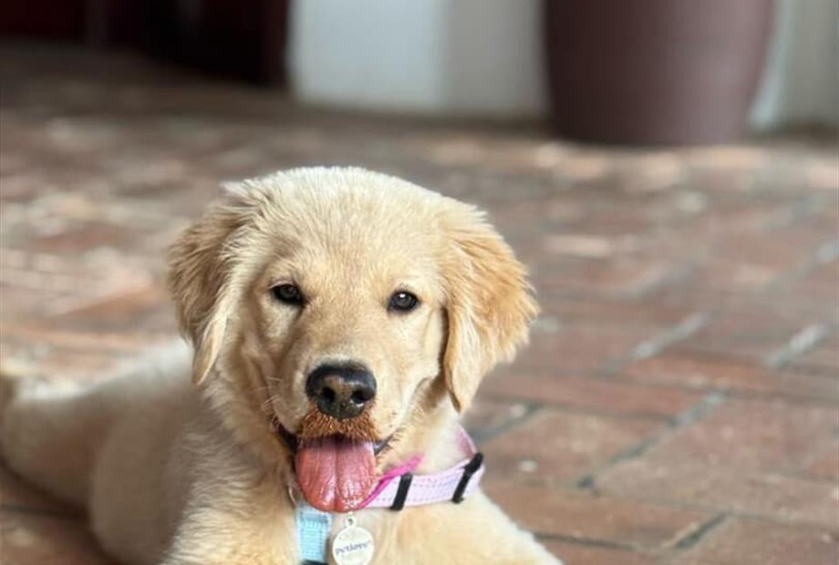 whatsapp image 2025-12-28 at 19.46.53.jpeg