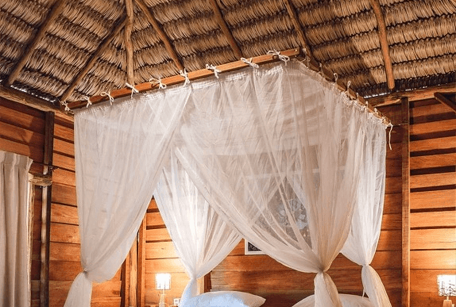 3. redimensionada.png