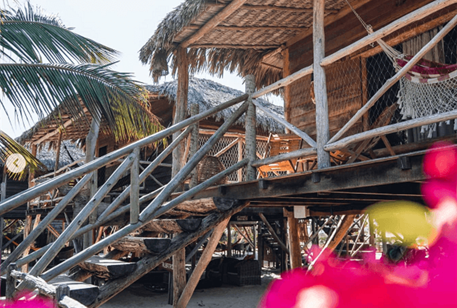 1. redimensionada.png