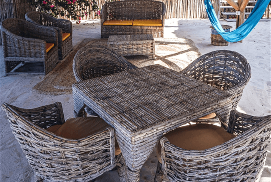 5. redimensionada.png