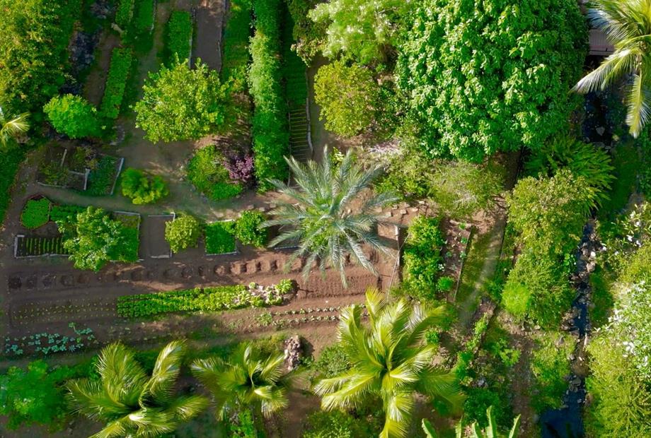 captura de tela 2024-09-25 às 20.14.33.jpg