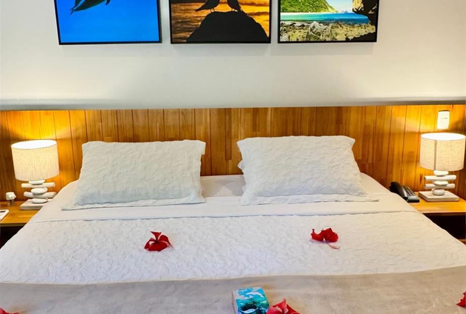 cópia de img_8815.jpg