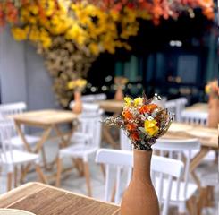 whatsapp image 2024-07-29 at 18.08.13 (2).jpeg