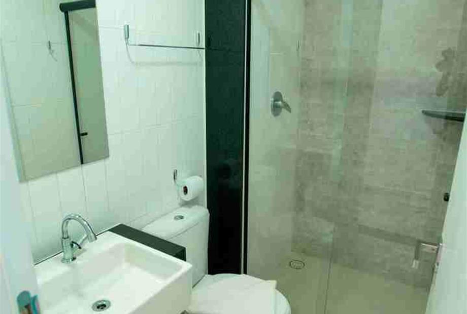 standard - star 8-min-compressed.jpg