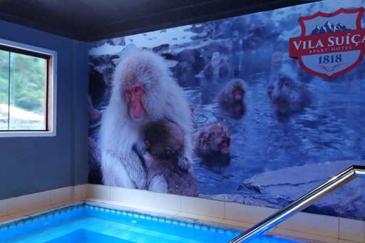 externas photo-2021-09-11-16-10-51 (11).jpg