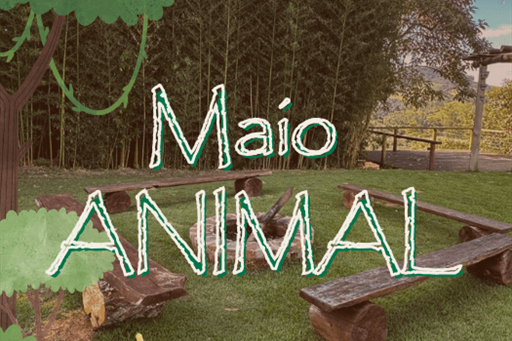 capa booking (1).png