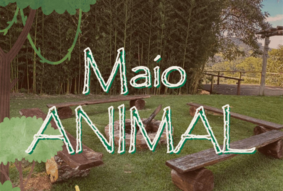 capa booking (1).png