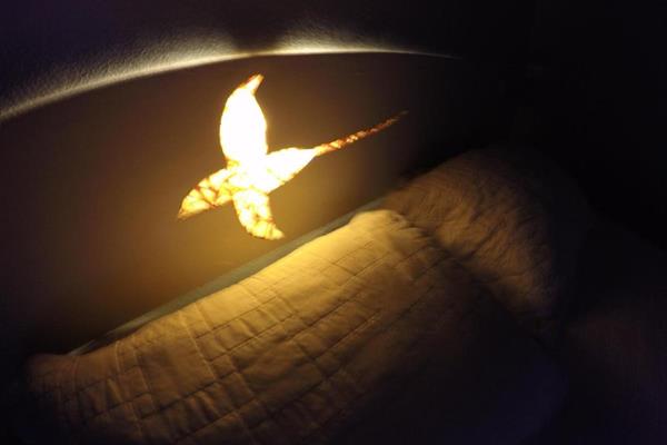 Foto 37 do Pousada Alamoa