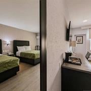 Habitación Deluxe - 2 camas matrimoniales