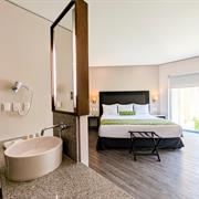 Habitación Ejecutiva King Size Vista Alberca