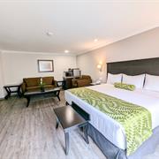 Junior Suite cama King Size