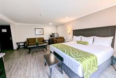 Junior Suite cama King Size