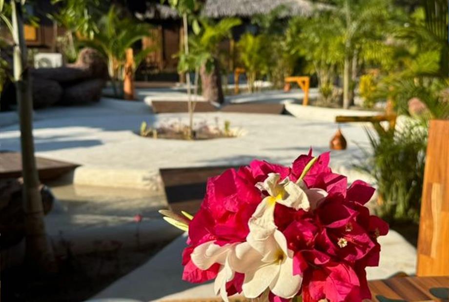 whatsapp image 2024-09-25 at 18.03.38.jpeg