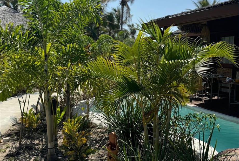 whatsapp image 2024-09-25 at 18.03.34 (2).jpeg