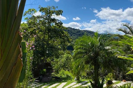 whatsapp image 2023-05-29 at 16.41.44 (1).jpeg