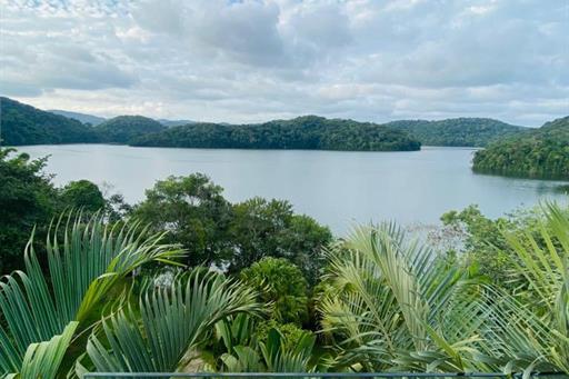 whatsapp image 2023-05-29 at 16.41.42.jpeg