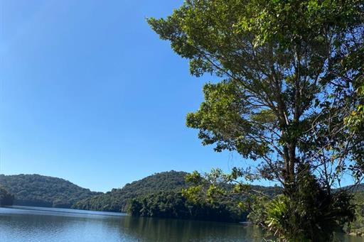 whatsapp image 2023-05-29 at 16.41.36.jpeg