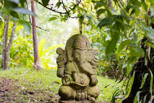 whatsapp image 2024-08-09 at 08.33.55 (1).jpeg