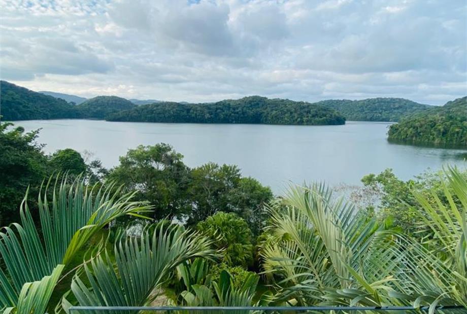 whatsapp image 2023-05-29 at 16.41.42.jpeg