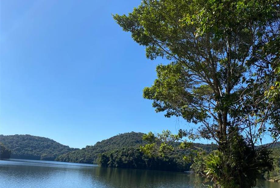 whatsapp image 2023-05-29 at 16.41.36.jpeg