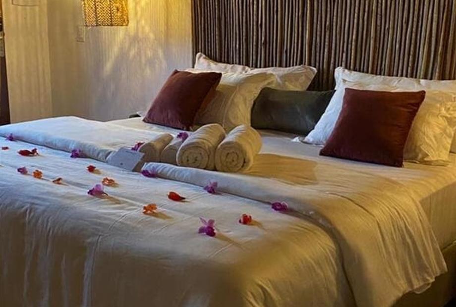 whatsapp image 2023-05-29 at 16.41.39.jpeg