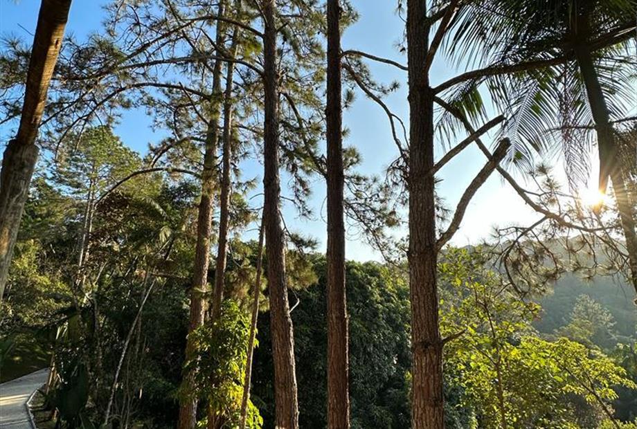 whatsapp image 2023-06-21 at 11.24.21 (3).jpeg