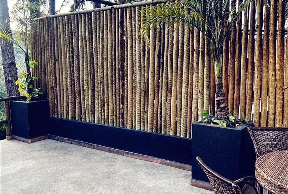 whatsapp image 2024-09-11 at 08.24.02.jpeg