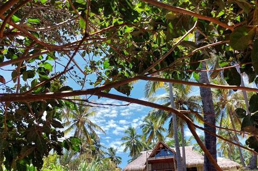 bistro anglo_8_11zon.jpg