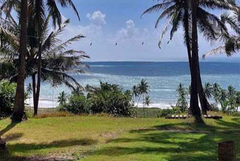 vista dia_21_11zon.jpg