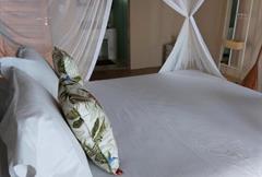 Bangalô Standard - Cidreira II