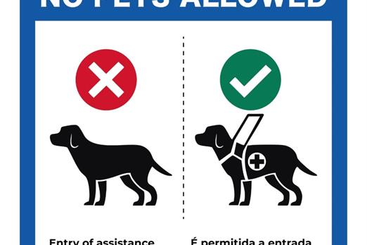 whatsapp image 2025-11-28 at 16.17.42.jpeg