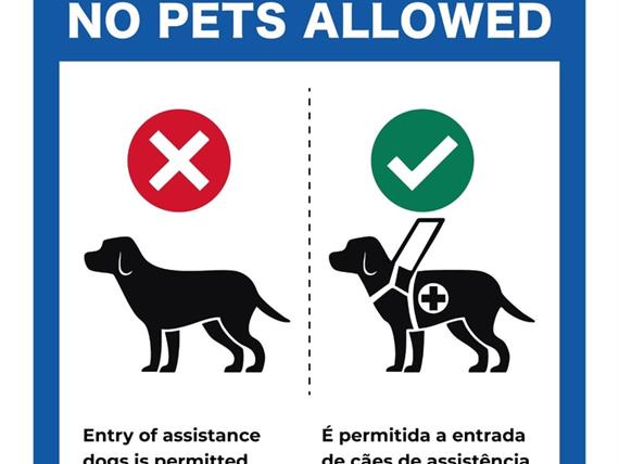 whatsapp image 2025-11-28 at 16.17.42.jpeg