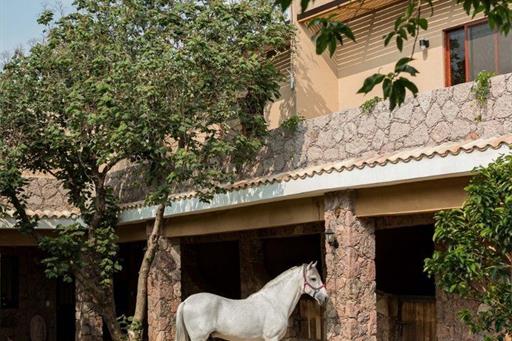 whatsapp image 2024-04-10 at 9.02.47 am.jpeg