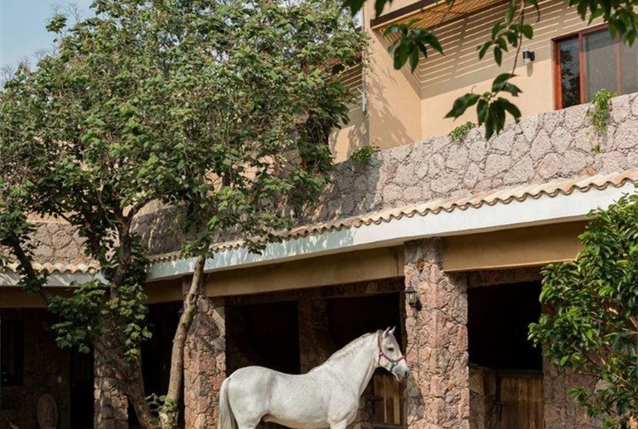 whatsapp image 2024-04-10 at 9.02.47 am.jpeg