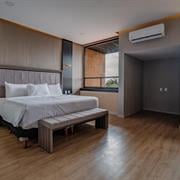 Habitación King Suite