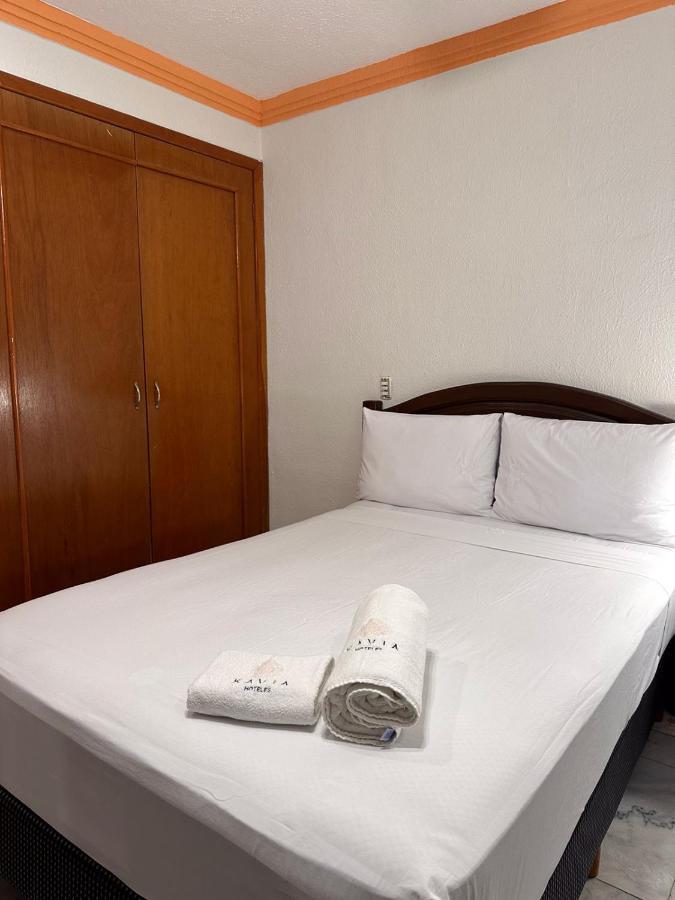 Hotel Hotel Avenida Cancun