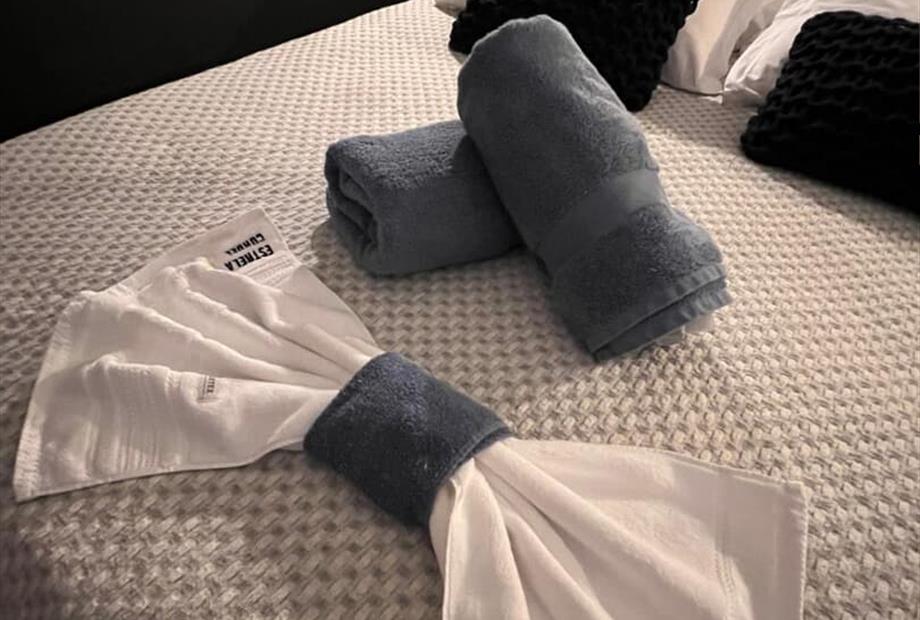 whatsapp image 2026-02-20 at 10.42.29 (5).jpeg