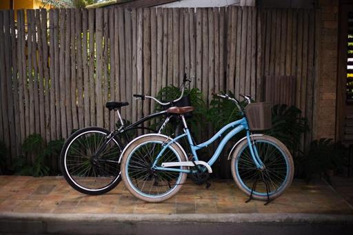 whatsapp image 2025-11-03 at 16.20.01 (2).jpeg