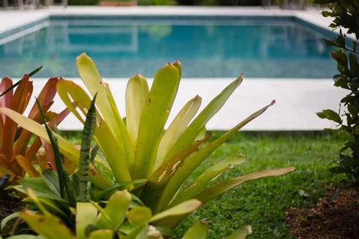 whatsapp image 2025-11-03 at 16.19.34 (4).jpeg